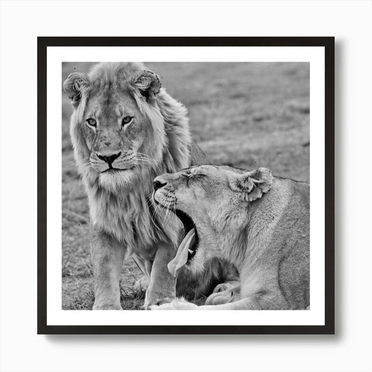 Lion Couple Art Print Framed Wall Art Poster Canvas Print Picture