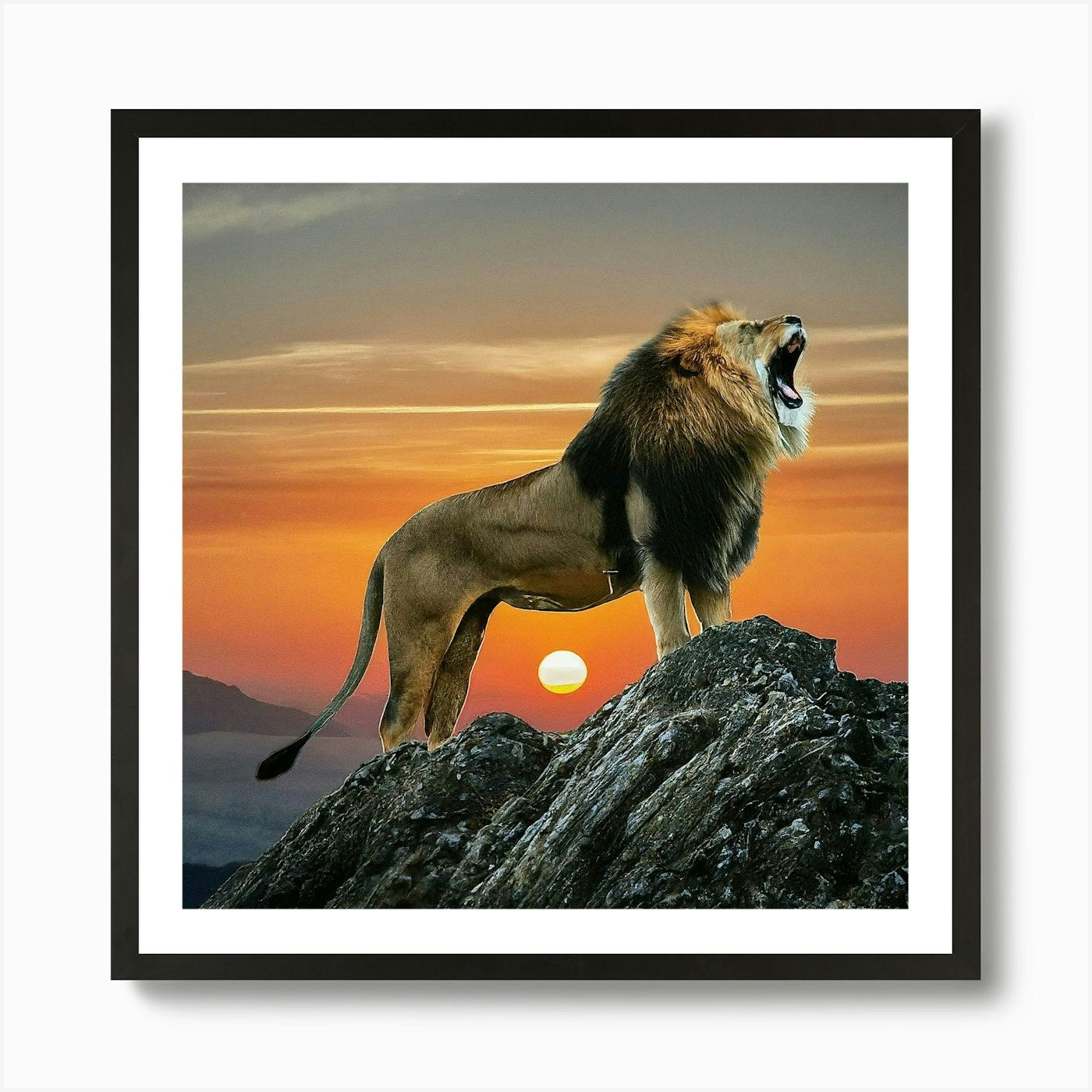 Lion At Sunset Art Print Framed Wall Art Poster Canvas Print Picture