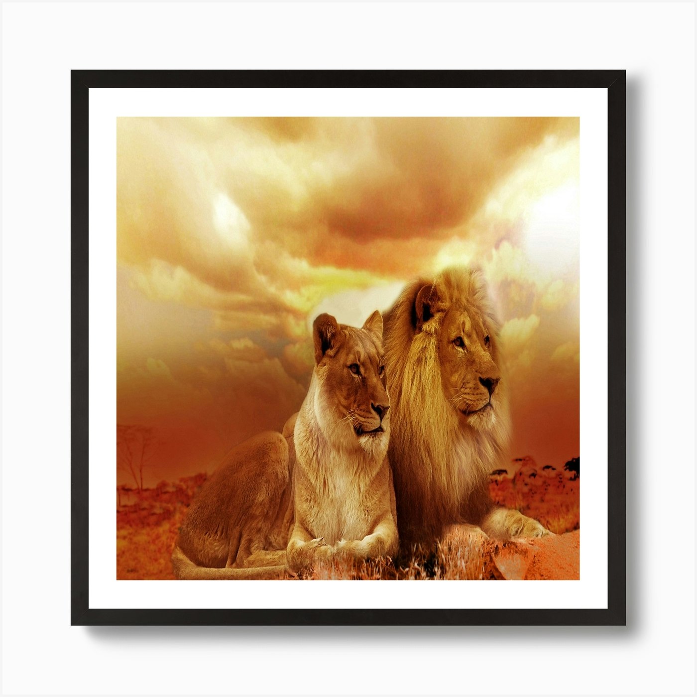 Lions 577104 1280 Art Print Framed Wall Art Poster Canvas Print Picture