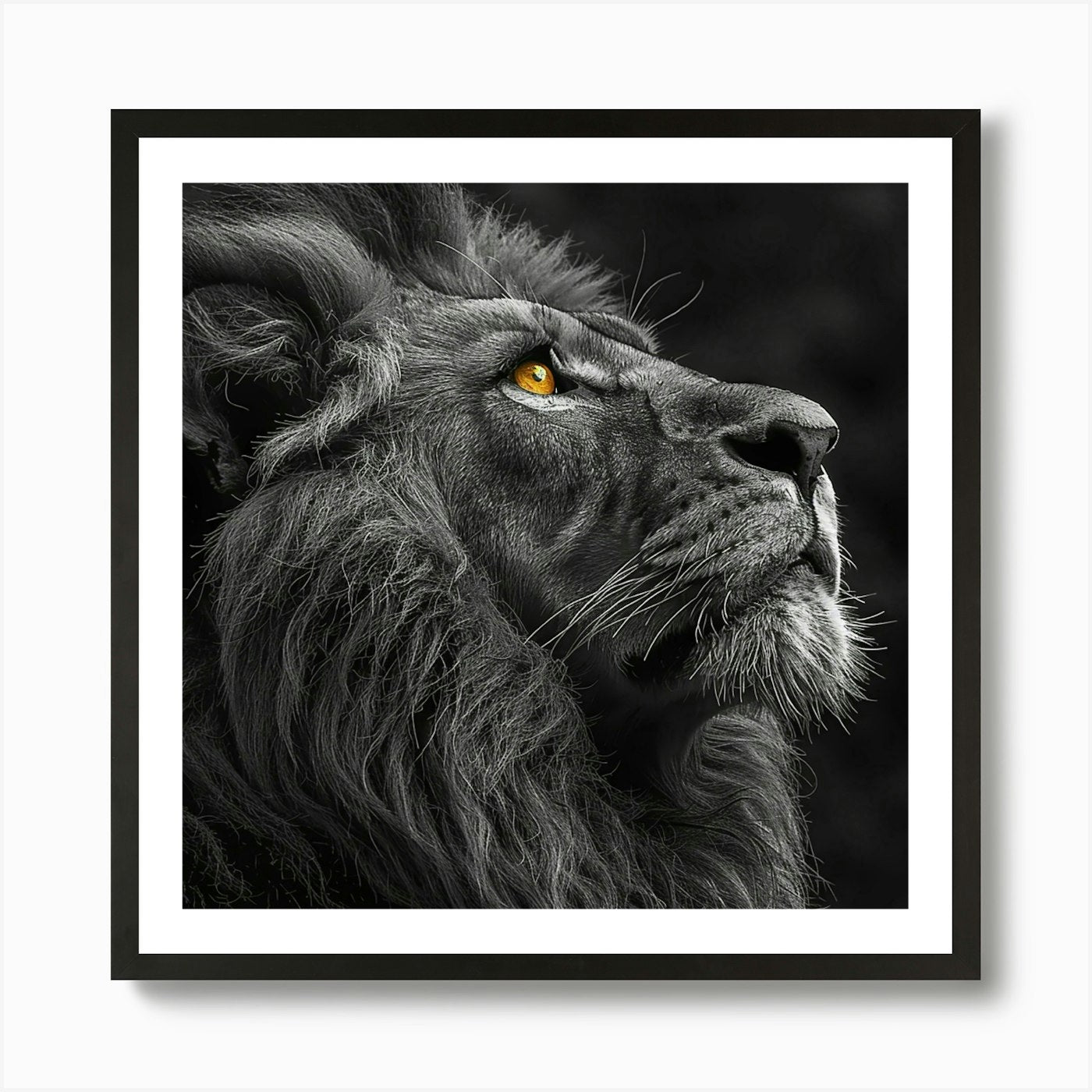 Black And White Lion Art Print Framed Wall Art Poster Canvas Print Picture