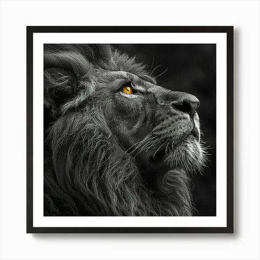 Black And White Lion Art Print Framed Wall Art Poster Canvas Print Picture