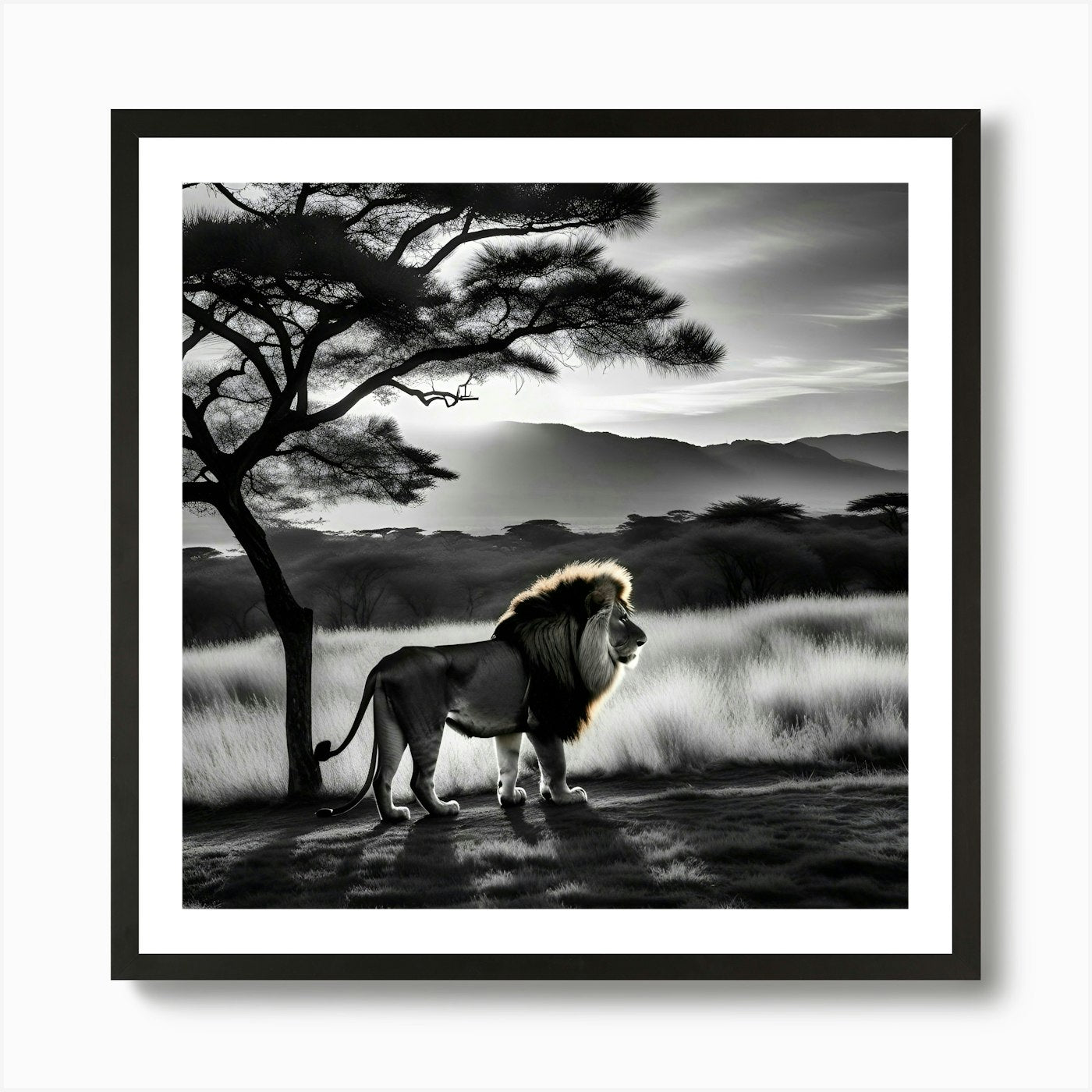 Lion In The Savannah 1 Art Print Framed Wall Art Poster Canvas Print Picture
