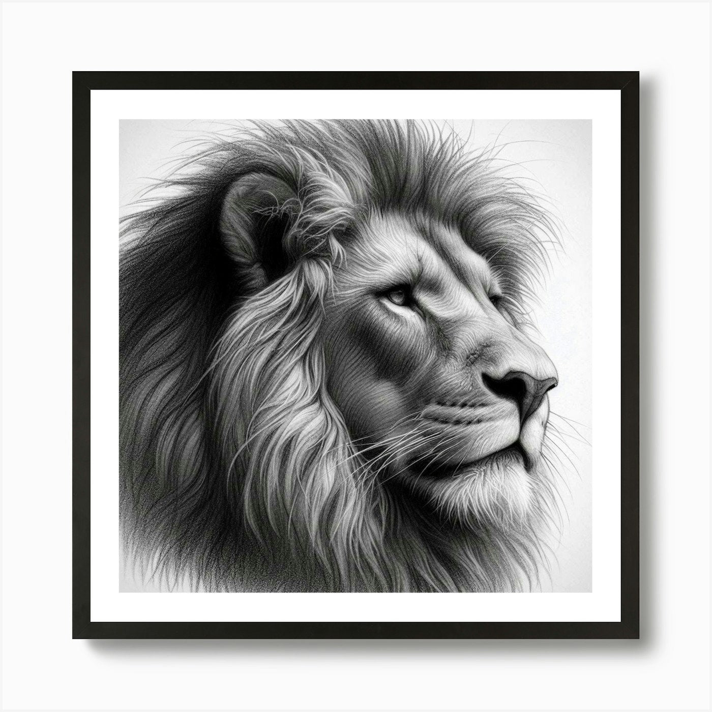 Lion Head drawing in charcoal 1 Art Framed Wall Art Poster Canvas Print Picture