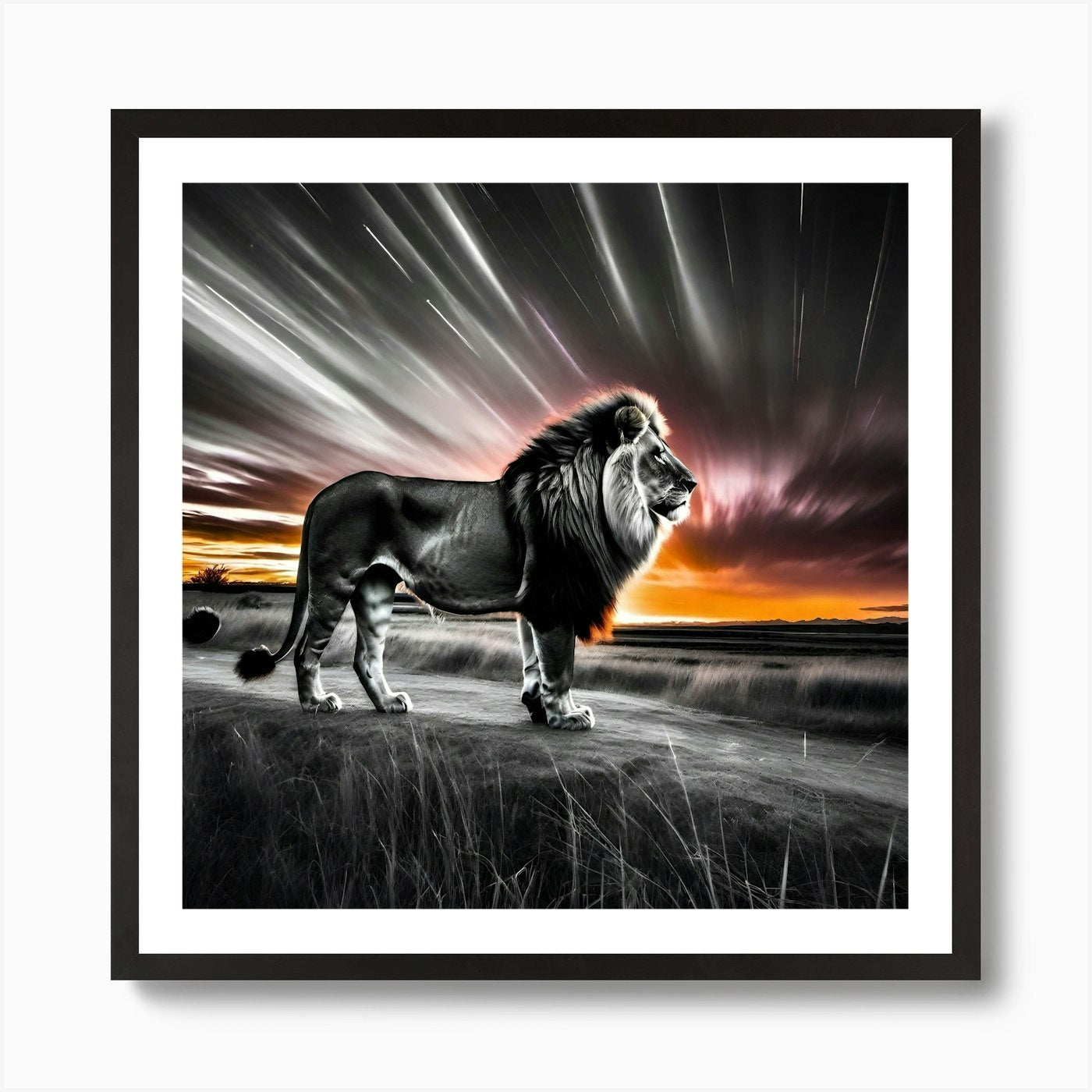 Lion At Sunset 11 Art Print Framed Wall Art Poster Canvas Print Picture