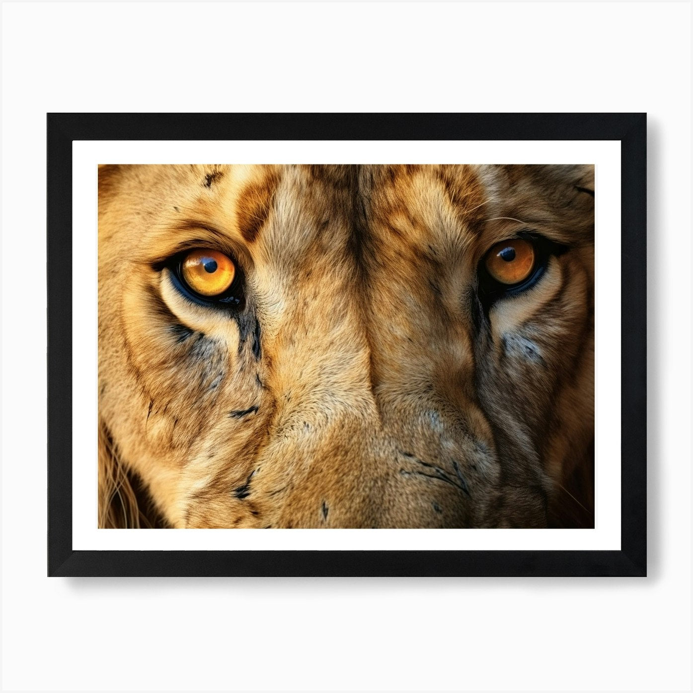 African Lion Eyes Realism Painting4 Framed Wall Art Poster Canvas Print Picture