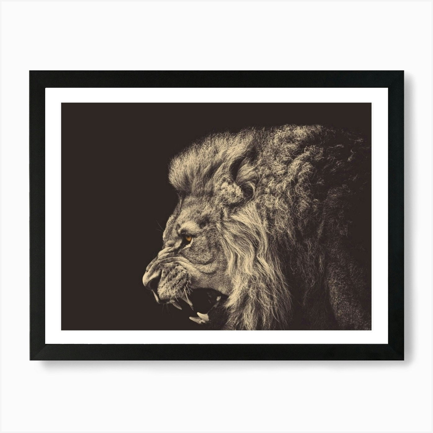 Angry Male Lion Art Print Framed Wall Art Poster Canvas Print Picture