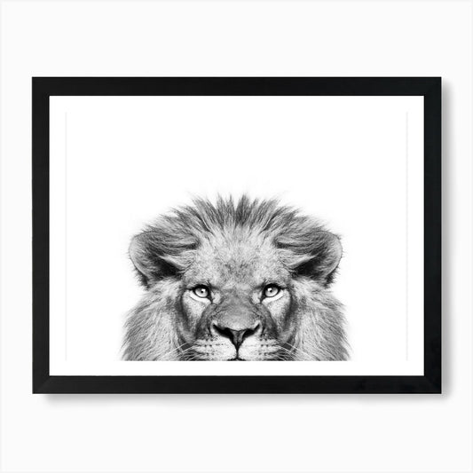 Peeking Lion Art Print Framed Wall Art Poster Canvas Print Picture