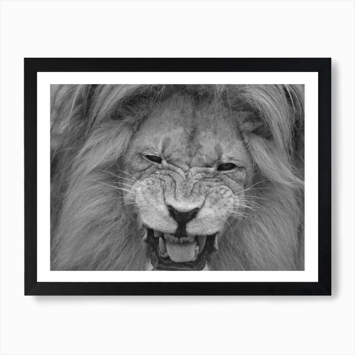 Lion Portrait 1 Art Print Framed Wall Art Poster Canvas Print Picture