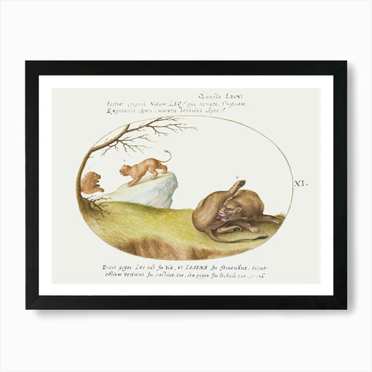 A Lioness With Two Lions In The Bac Framed Wall Art Poster Canvas Print Picture