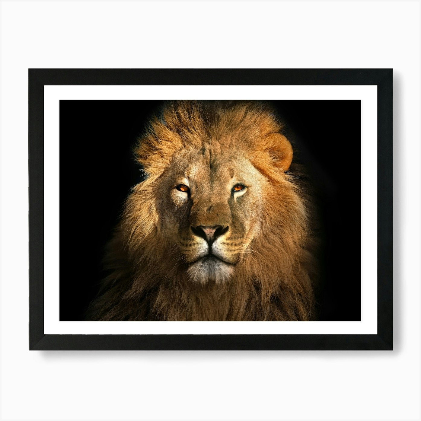 Lion Portrait Art Print Framed Wall Art Poster Canvas Print Picture