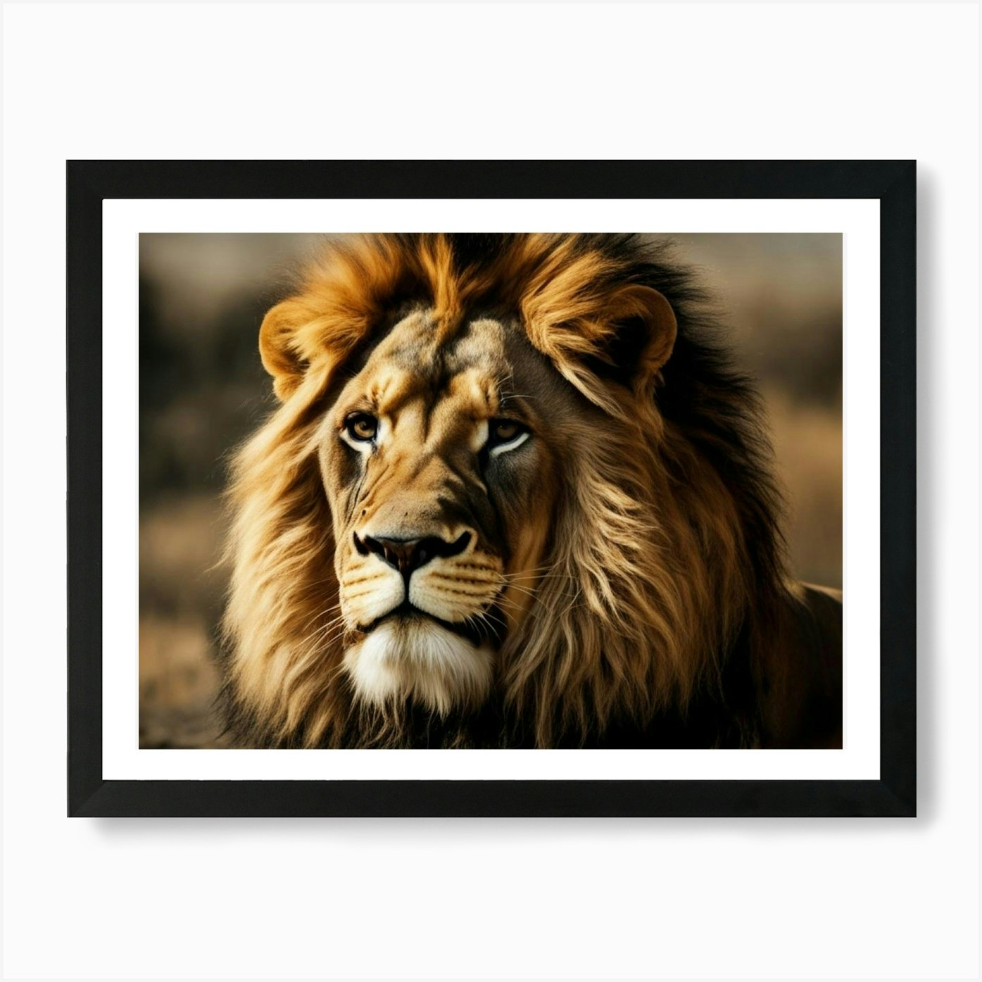 Lion In The Grass Art Print Framed Wall Art Poster Canvas Print Picture