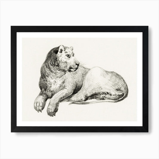Lying Lion 1, Jean Bernard Art Prin Framed Wall Art Poster Canvas Print Picture