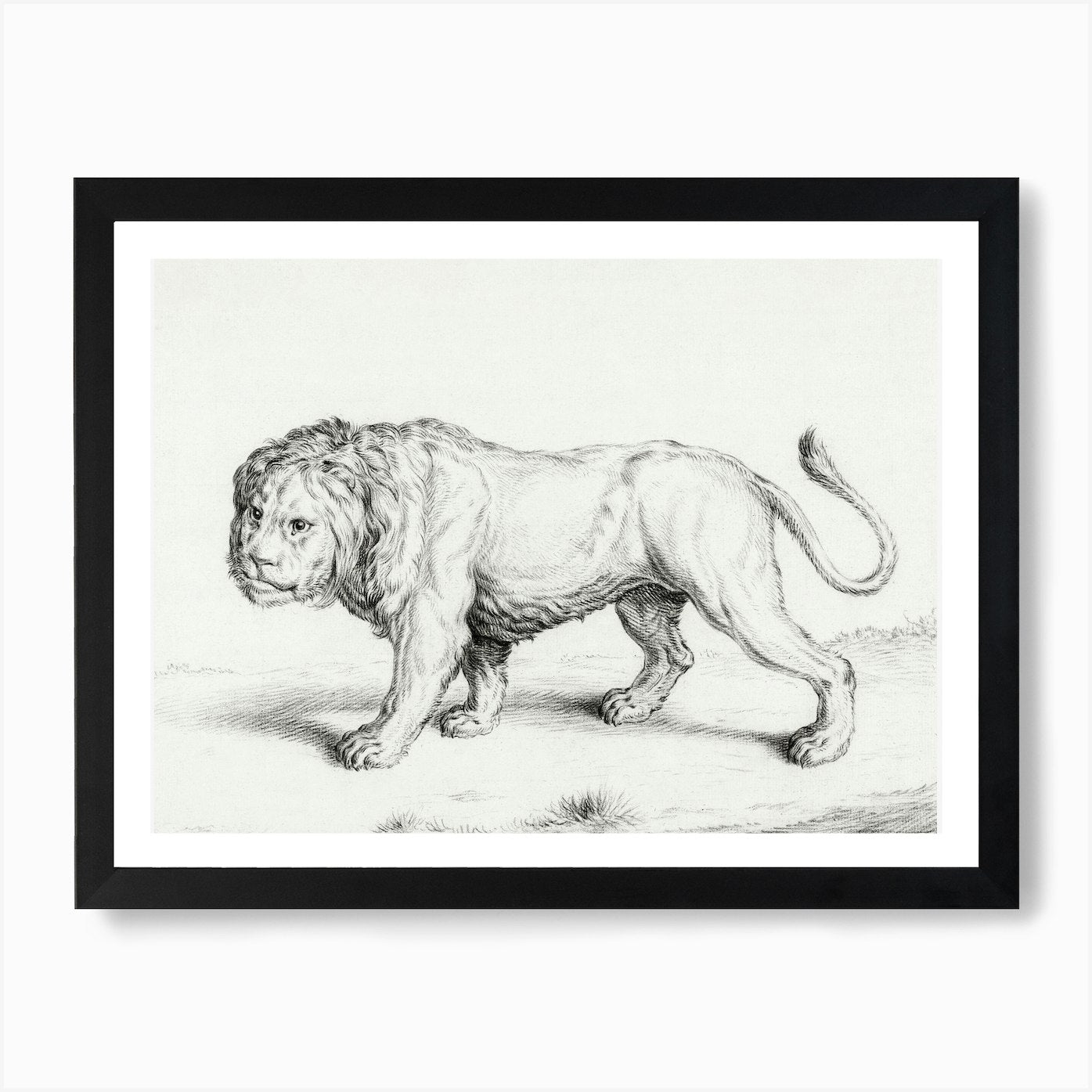 Lion 1, Jean Bernard Art Print Framed Wall Art Poster Canvas Print Picture