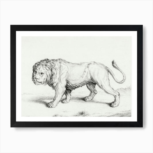 Lion 1, Jean Bernard Art Print Framed Wall Art Poster Canvas Print Picture