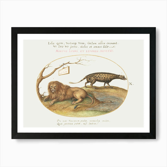 A Lion And A Civet Cat (1575–1580), Framed Wall Art Poster Canvas Print Picture