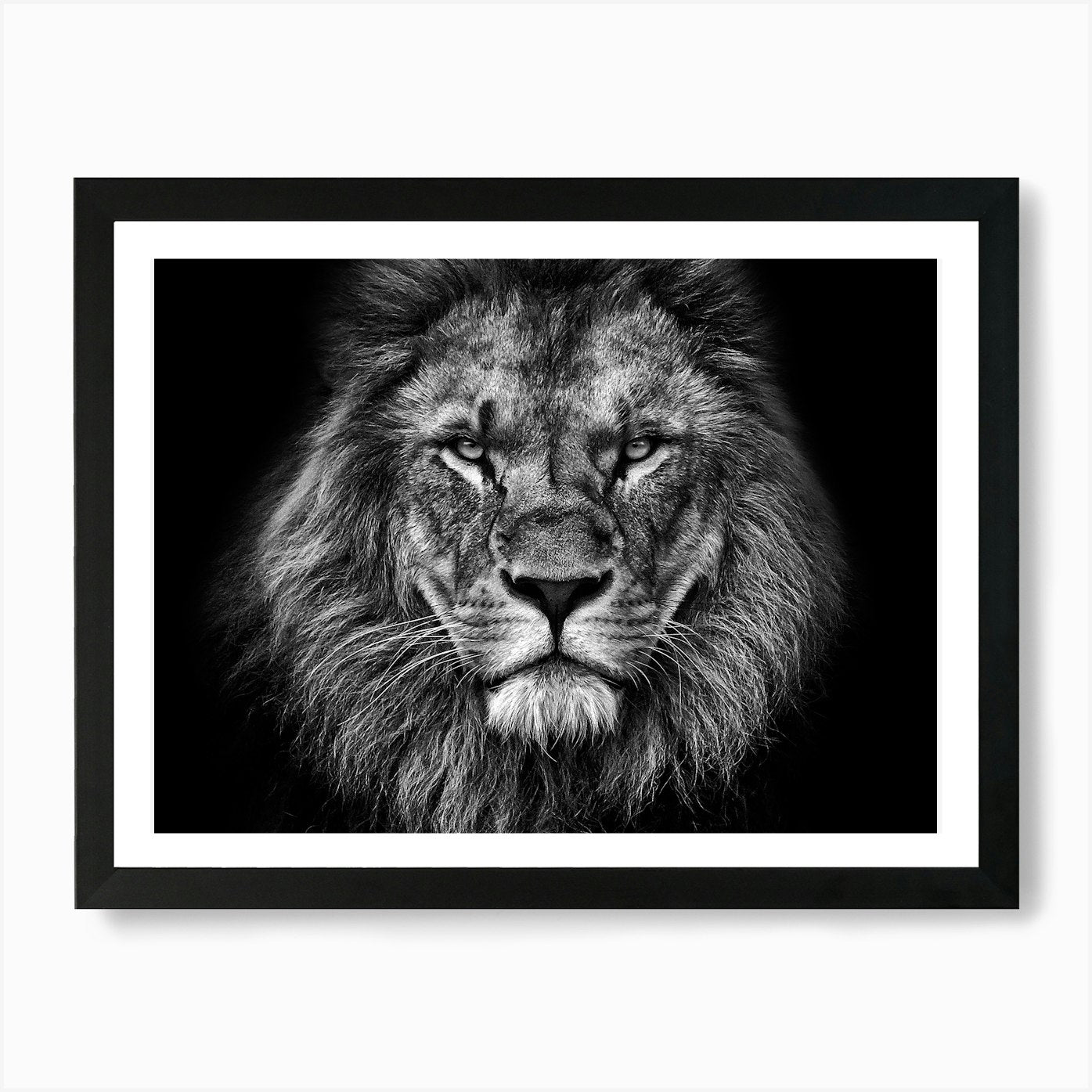 Black And White Lion Art Print Framed Wall Art Poster Canvas Print Picture