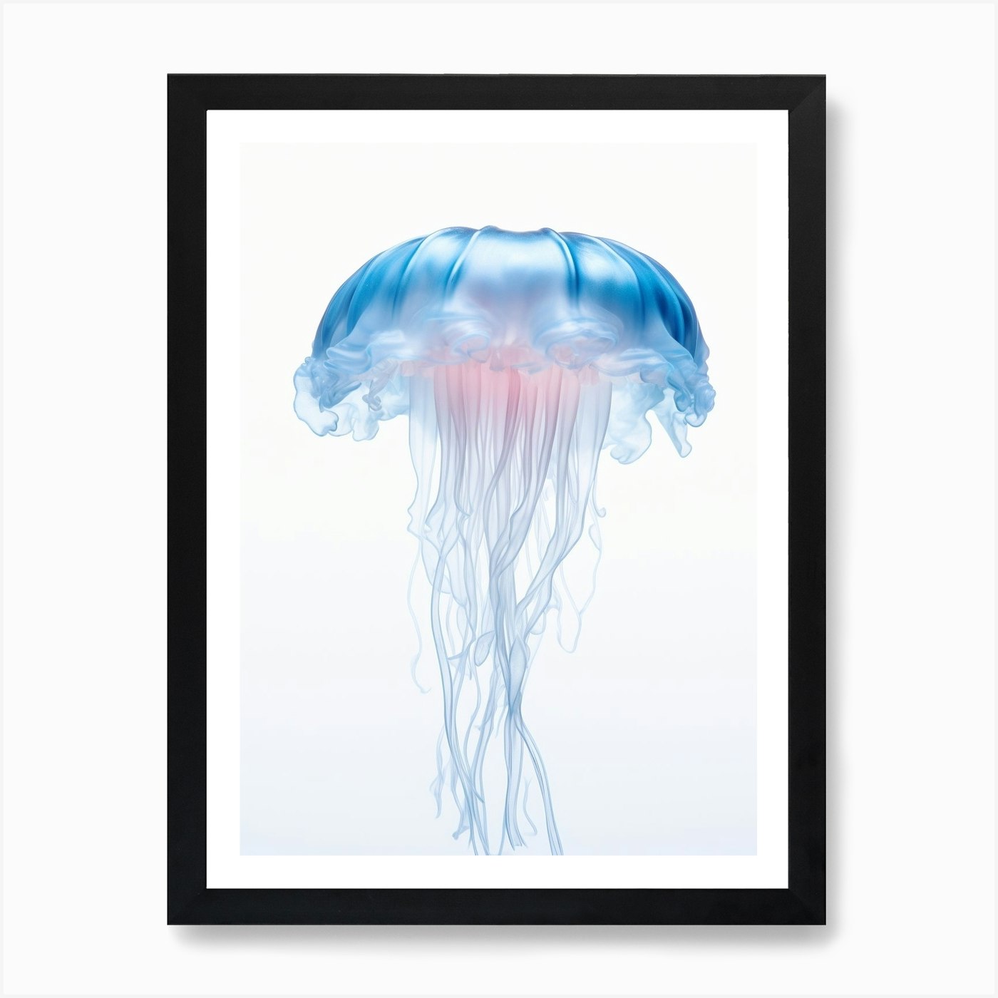 Lions Mane Jellyfish Watercolour 1  Framed Wall Art Poster Canvas Print Picture