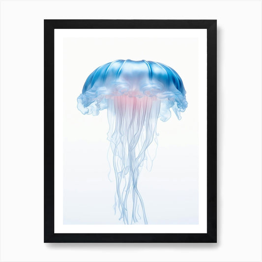 Lions Mane Jellyfish Watercolour 1  Framed Wall Art Poster Canvas Print Picture