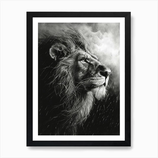 Barbary Lion Charcoal Drawing Facin Framed Wall Art Poster Canvas Print Picture