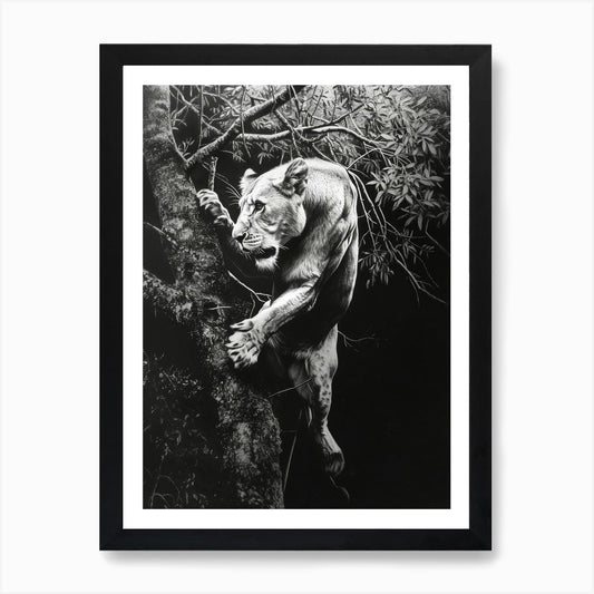 Barbary Lion Charcoal Drawing Panth Framed Wall Art Poster Canvas Print Picture