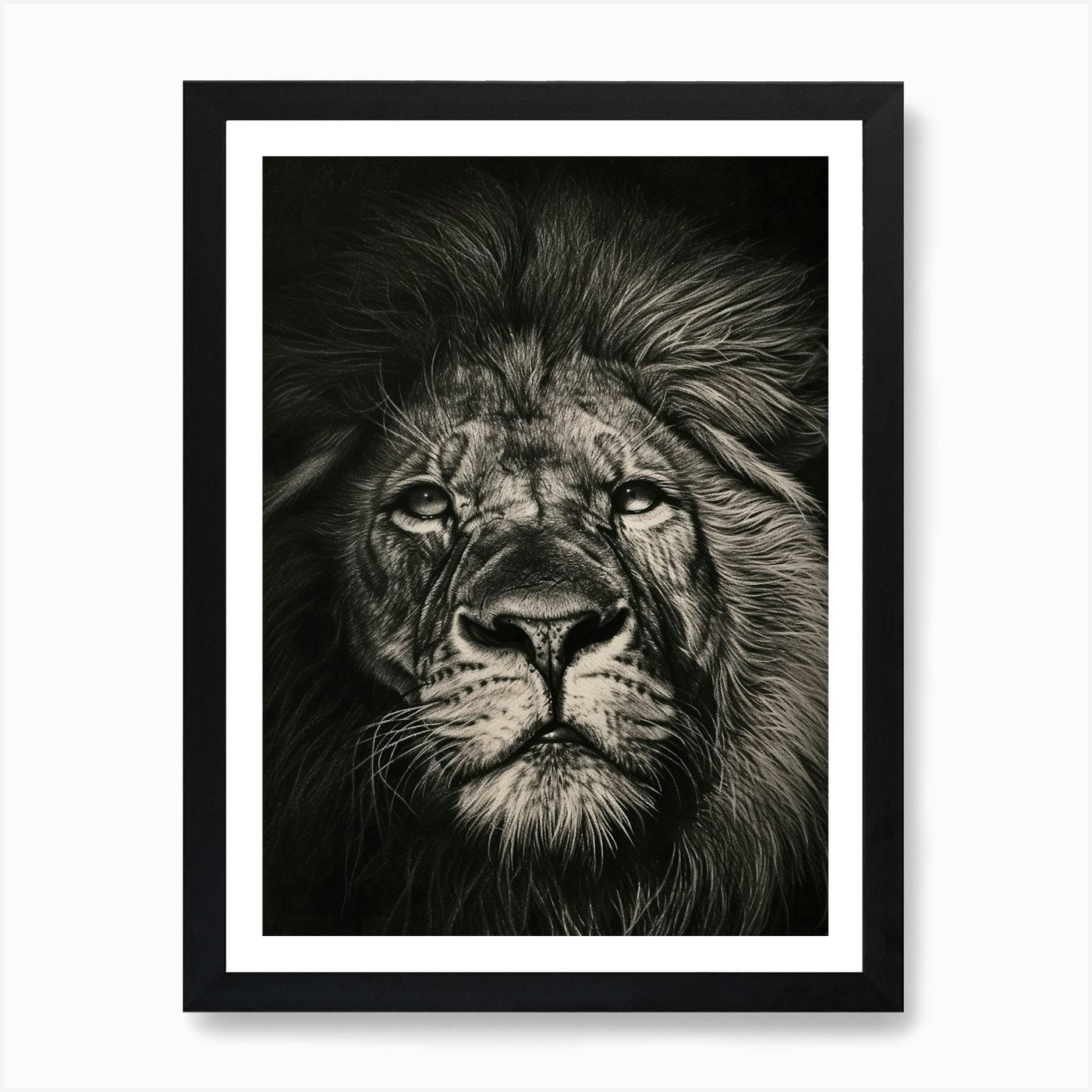 Barbary Lion Charcoal Drawing Symbo Framed Wall Art Poster Canvas Print Picture