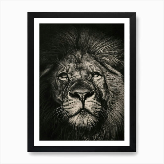 Barbary Lion Charcoal Drawing Symbo Framed Wall Art Poster Canvas Print Picture