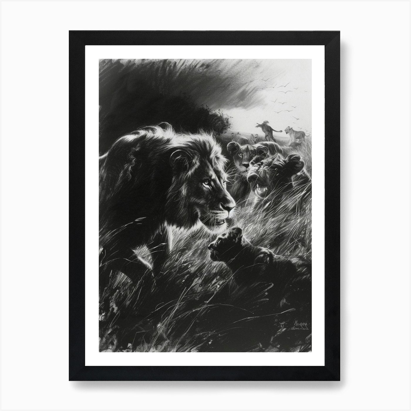 African Lion Charcoal Drawing Inter Framed Wall Art Poster Canvas Print Picture