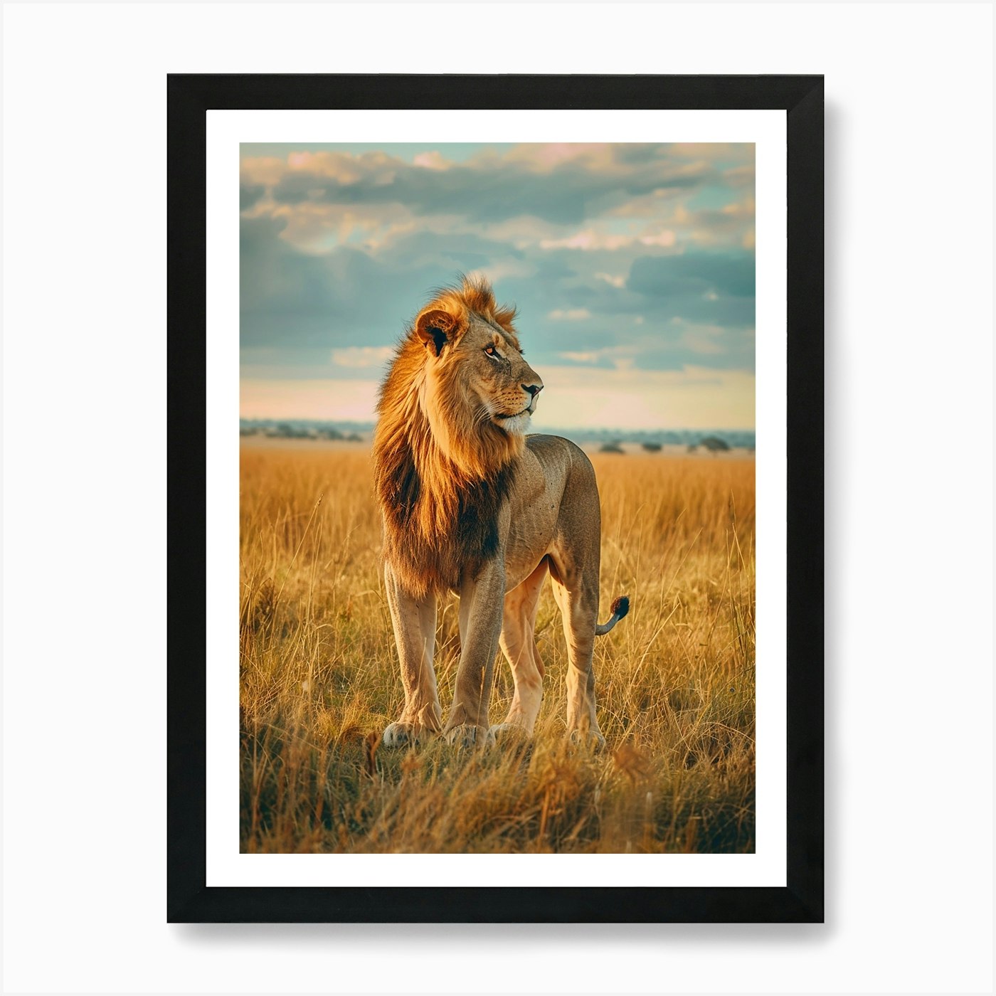 Lion In The Savannah 1 Art Print Framed Wall Art Poster Canvas Print Picture