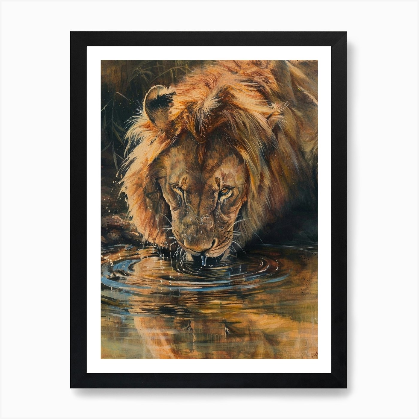 African Lion Drinking From A Wateri Framed Wall Art Poster Canvas Print Picture