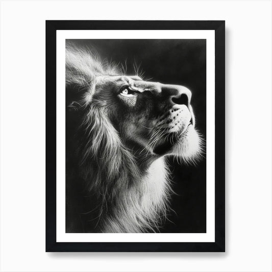 African Lion Charcoal Drawing Portr Framed Wall Art Poster Canvas Print Picture