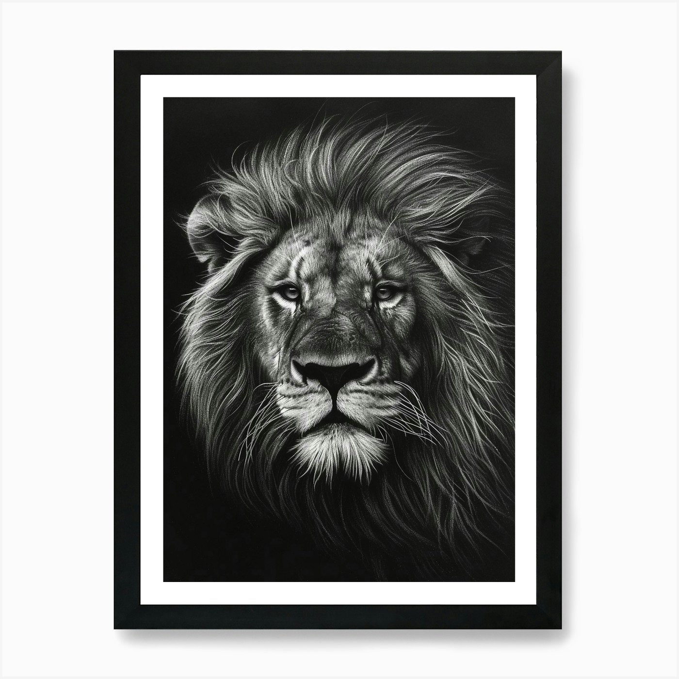 African Lion Charcoal Drawing Portr Framed Wall Art Poster Canvas Print Picture