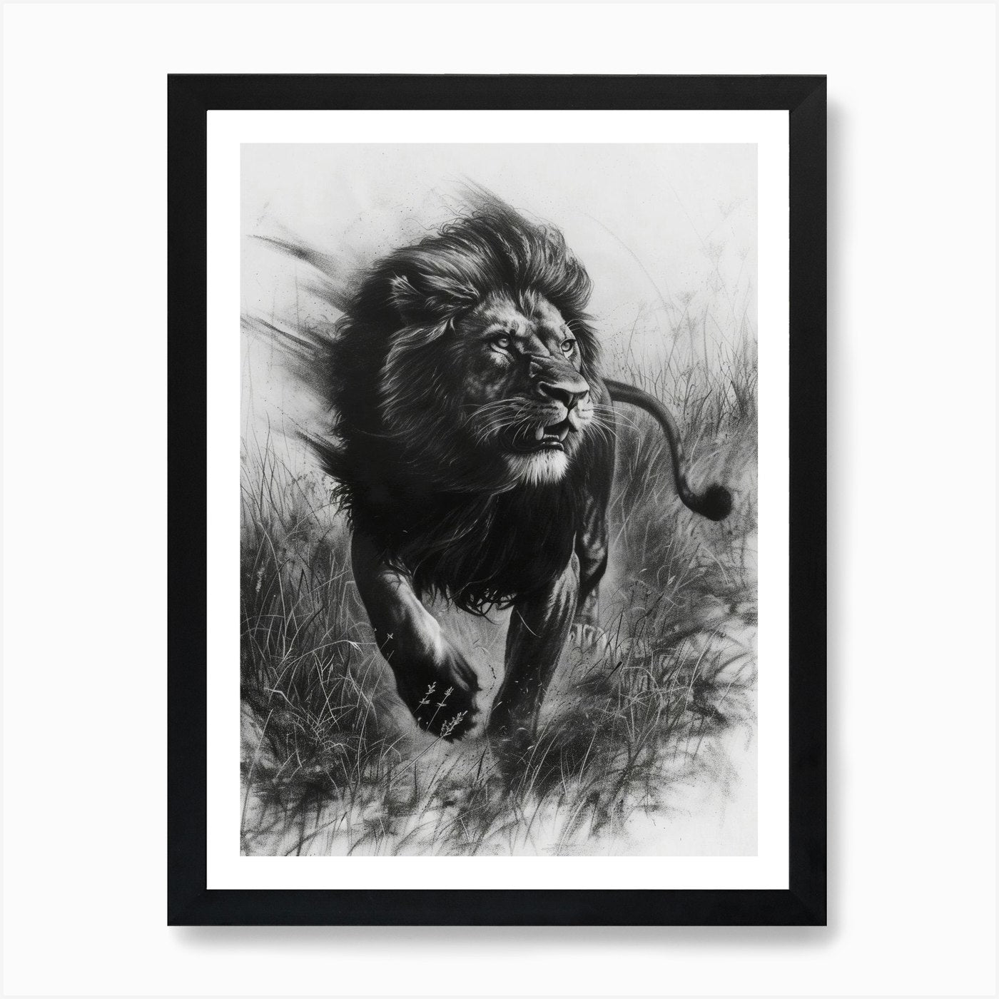 African Lion Charcoal Drawing Hunti Framed Wall Art Poster Canvas Print Picture