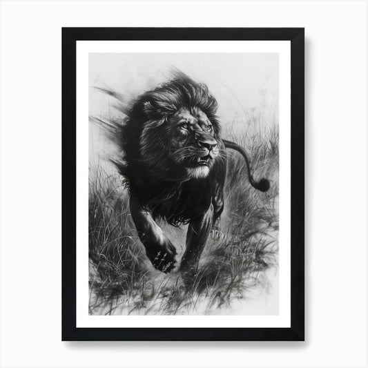 African Lion Charcoal Drawing Hunti Framed Wall Art Poster Canvas Print Picture