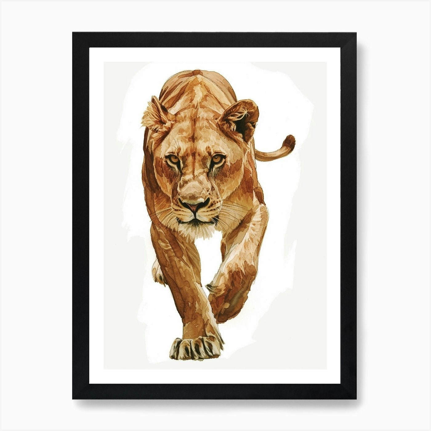 African Lion Lioness On The Prowl C Framed Wall Art Poster Canvas Print Picture