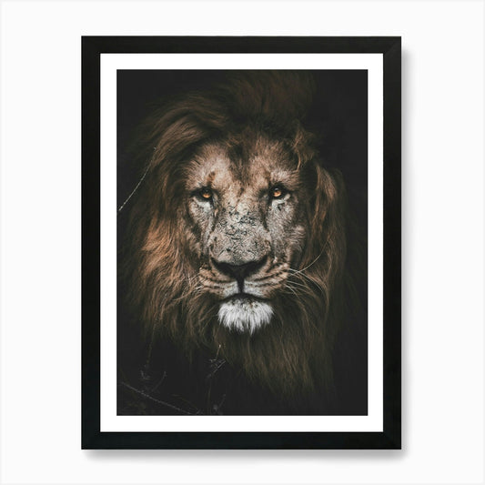 Lion Portrait 2 Art Print Framed Wall Art Poster Canvas Print Picture