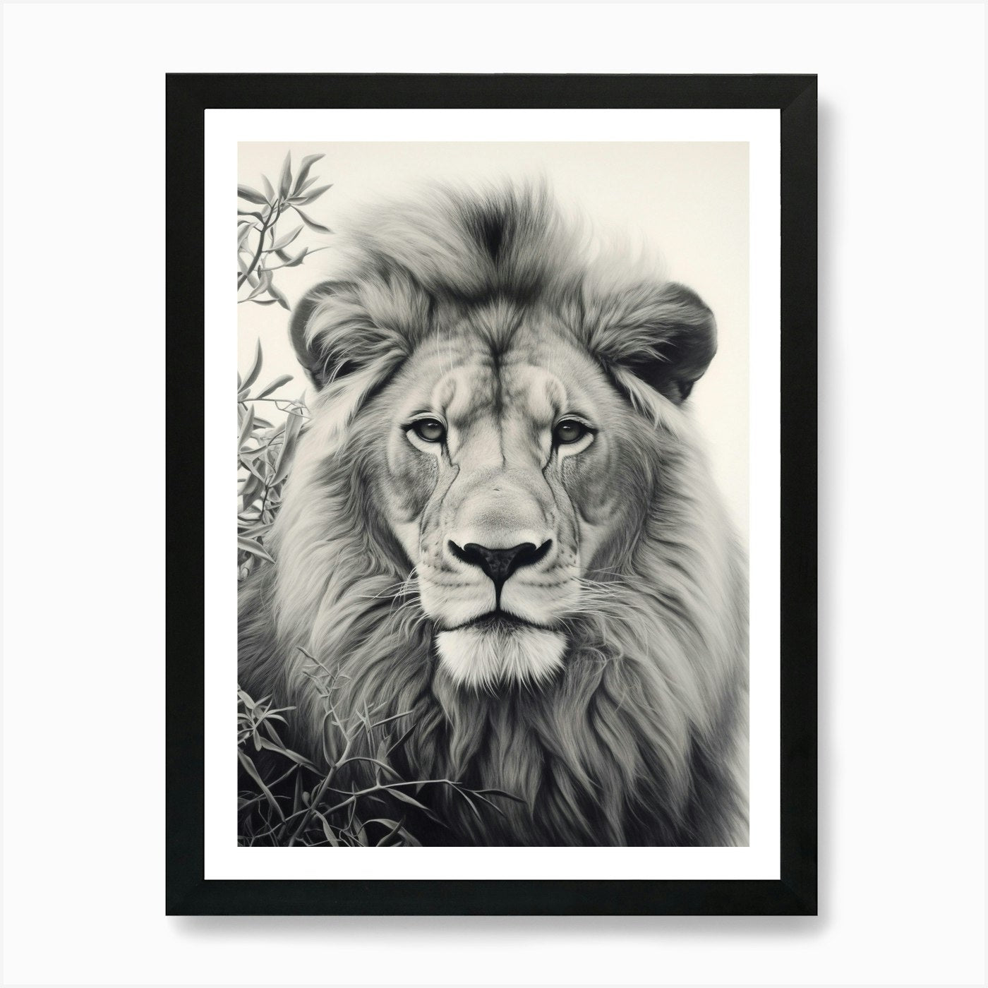 African Lion Realism Portrait 4 Art Framed Wall Art Poster Canvas Print Picture