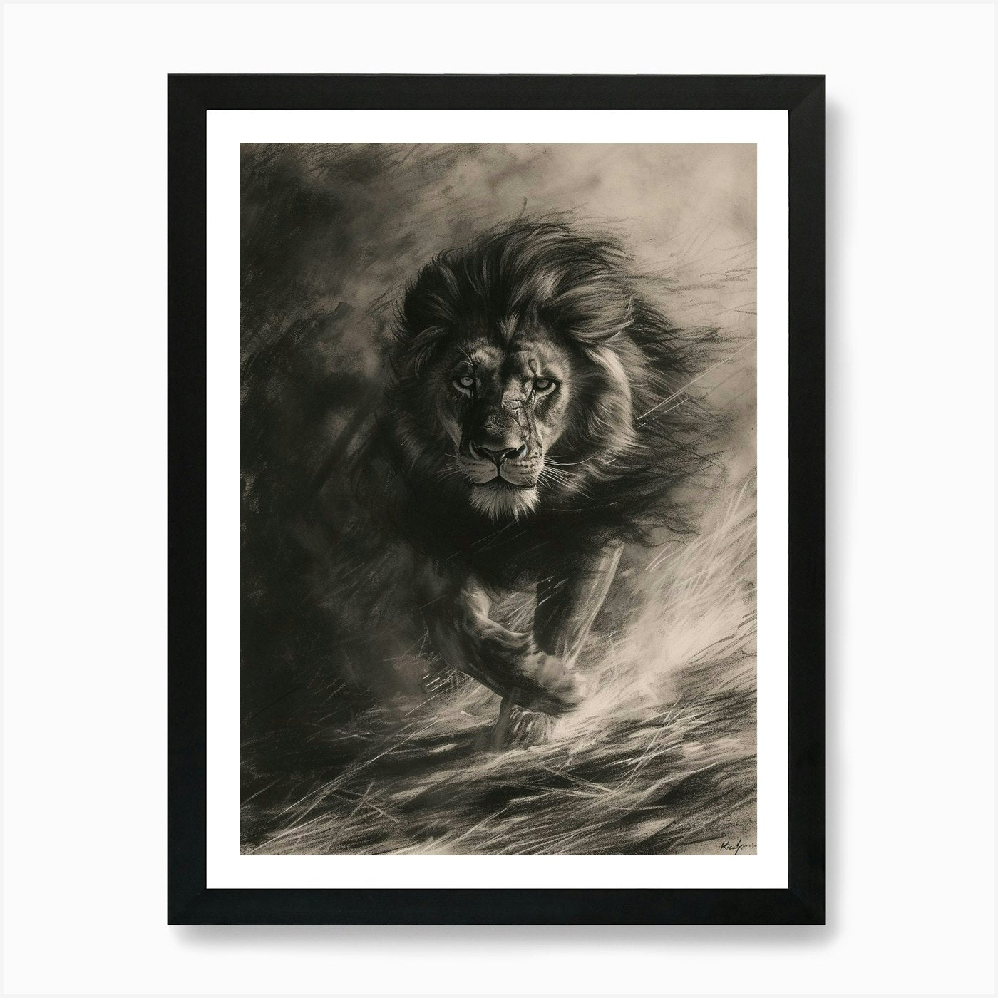 Barbary Lion Charcoal Drawing Hunti Framed Wall Art Poster Canvas Print Picture