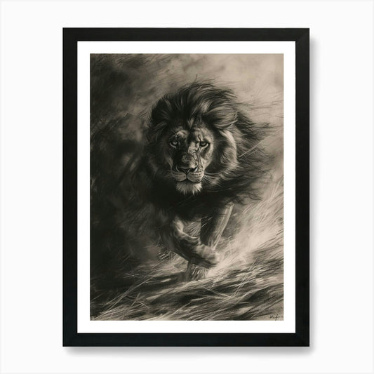 Barbary Lion Charcoal Drawing Hunti Framed Wall Art Poster Canvas Print Picture