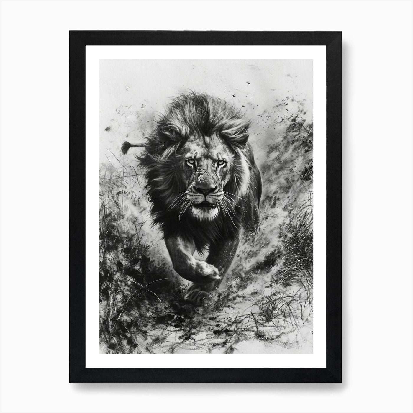 Barbary Lion Charcoal Drawing Hunti Framed Wall Art Poster Canvas Print Picture