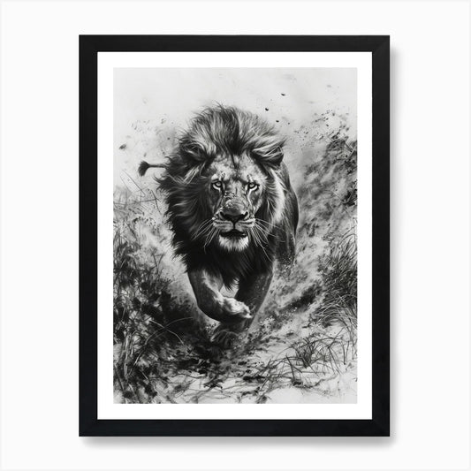 Barbary Lion Charcoal Drawing Hunti Framed Wall Art Poster Canvas Print Picture
