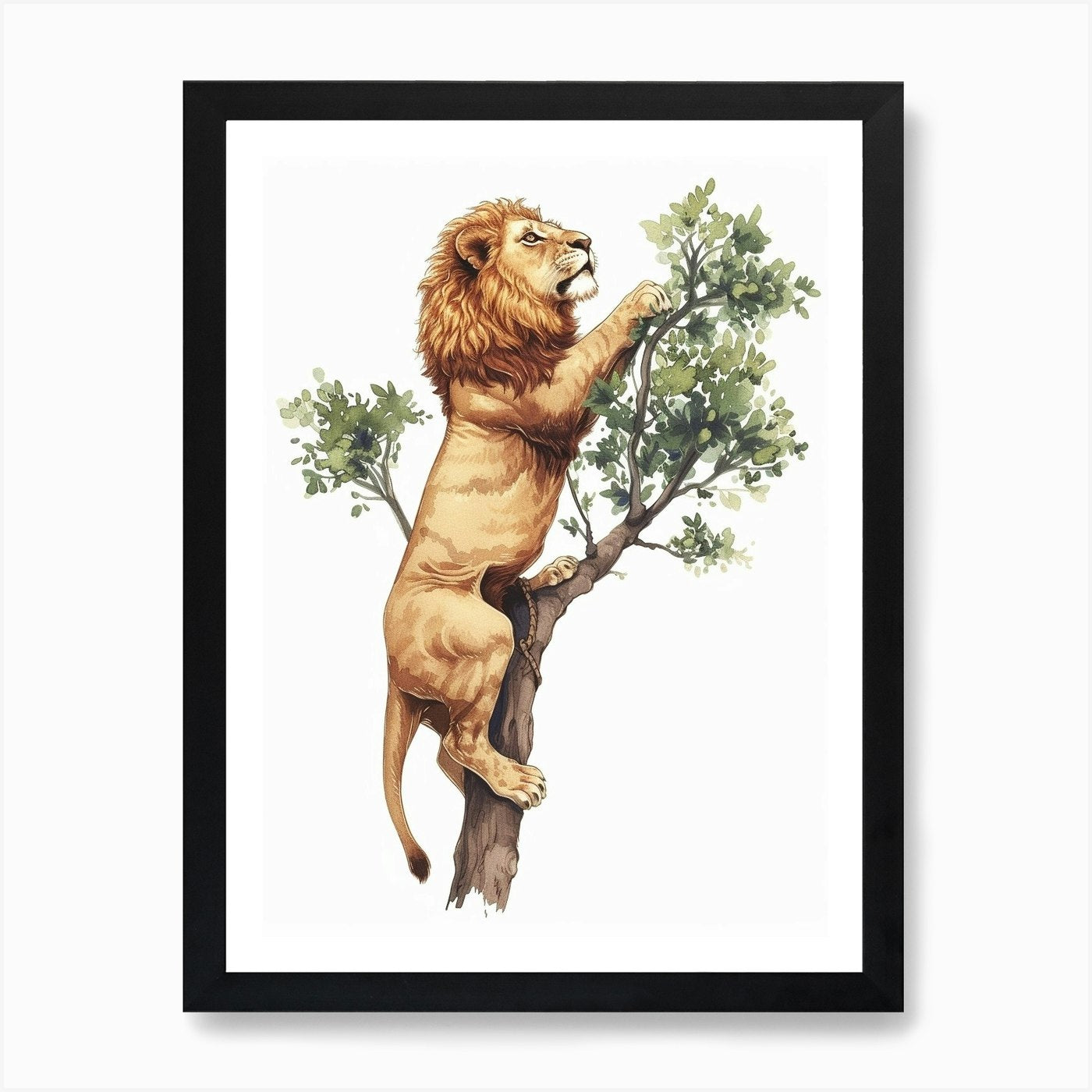 Barbary Lion Climbing A Tree Clipar Framed Wall Art Poster Canvas Print Picture
