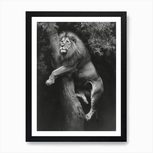 Barbary Lion Charcoal Drawing Panth Framed Wall Art Poster Canvas Print Picture
