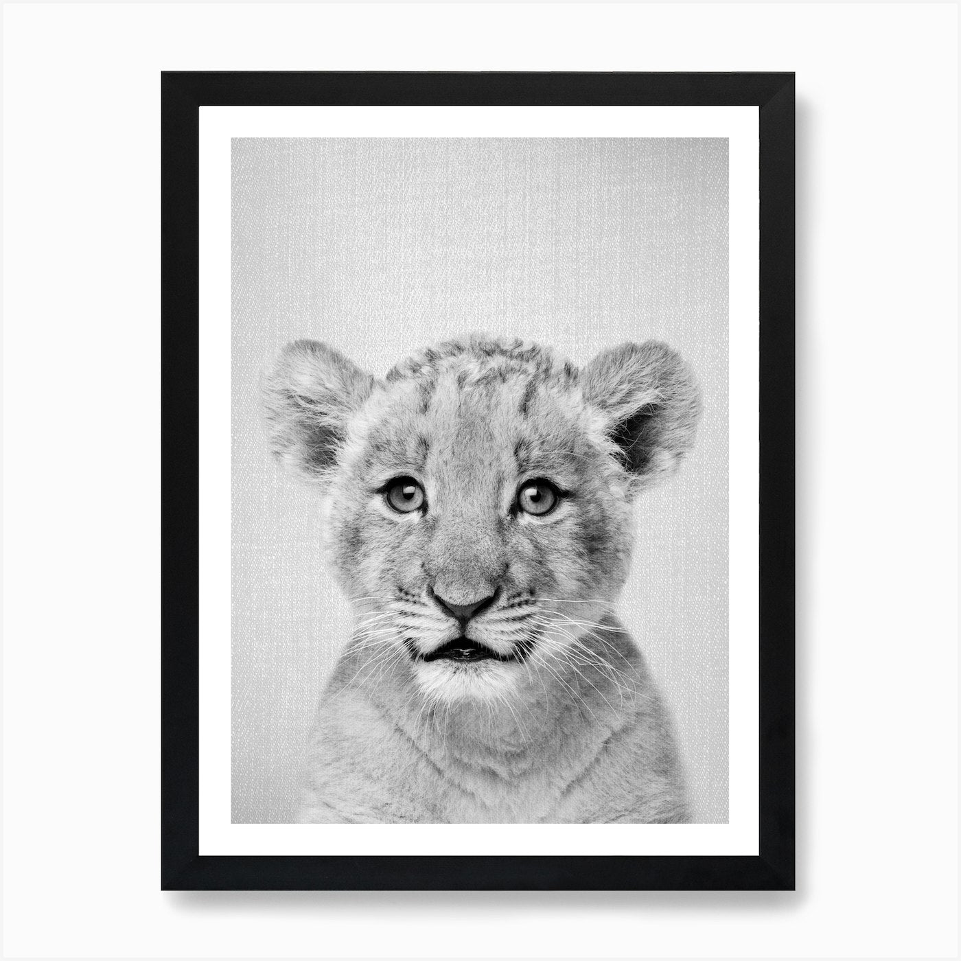 Baby Lion - Black & White Art Print Framed Wall Art Poster Canvas Print Picture