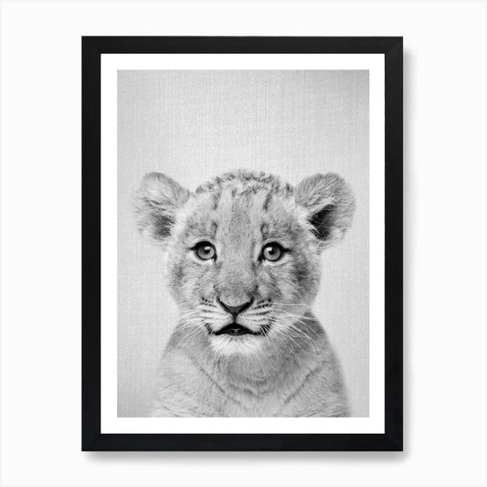 Baby Lion - Black & White Art Print Framed Wall Art Poster Canvas Print Picture