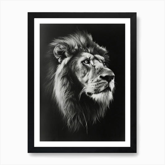 Barbary Lion Charcoal Drawing Symbo Framed Wall Art Poster Canvas Print Picture