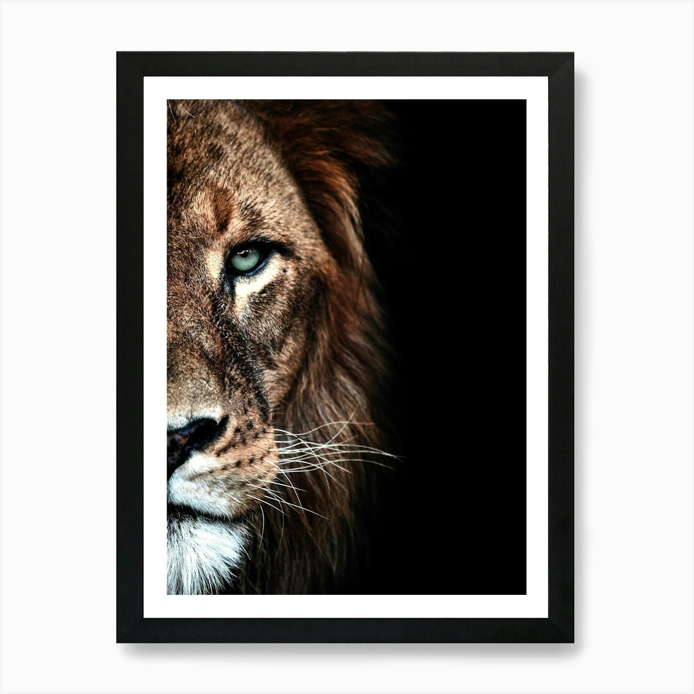 Portrait Of A Lion 1 Art Print Framed Wall Art Poster Canvas Print Picture