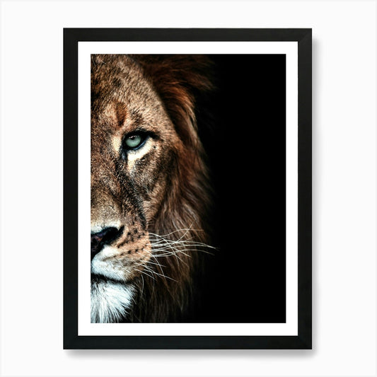 Portrait Of A Lion 1 Art Print Framed Wall Art Poster Canvas Print Picture