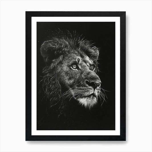 Barbary Lion Charcoal Drawing Night Framed Wall Art Poster Canvas Print Picture