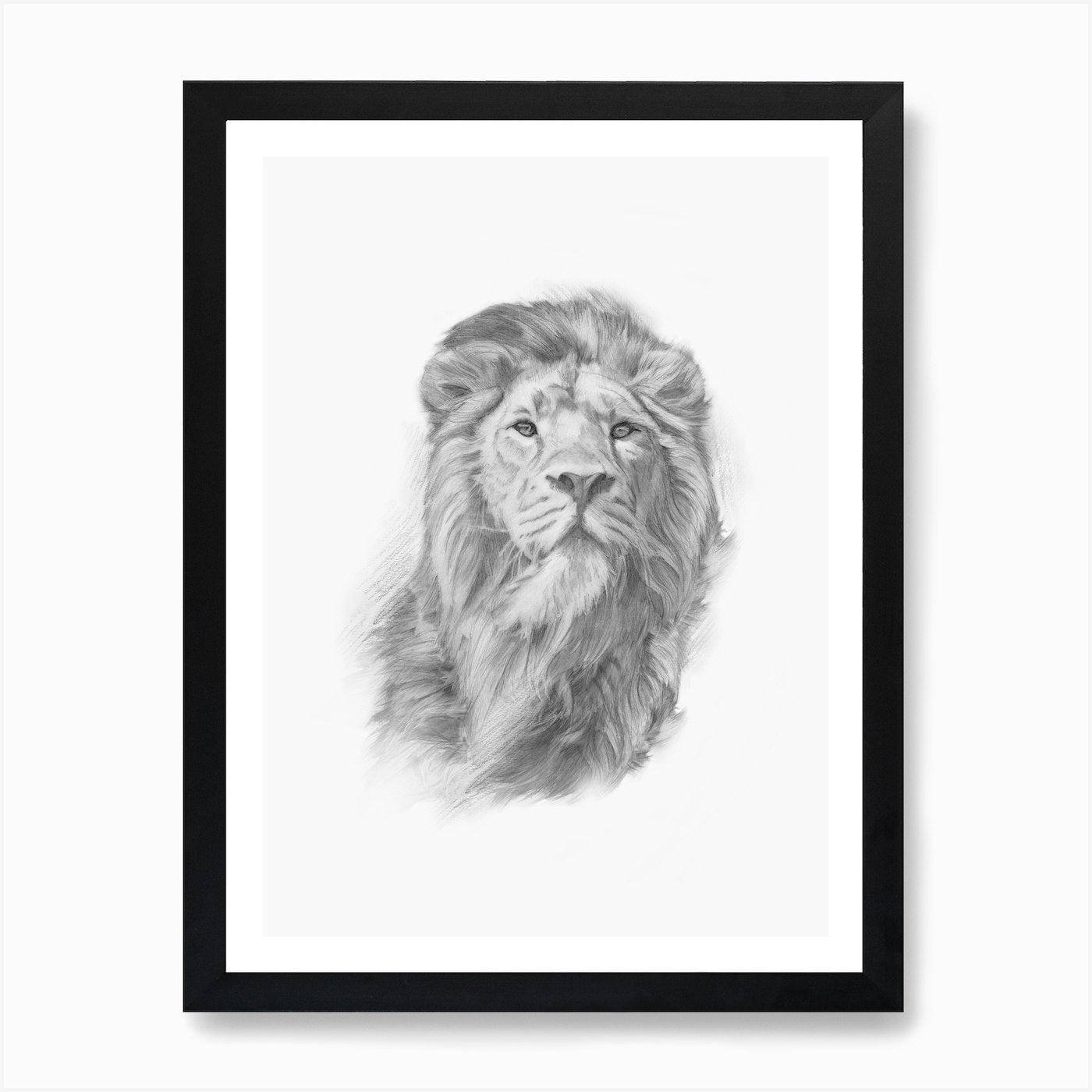 Lion Handrawn Black And White Art P Framed Wall Art Poster Canvas Print Picture