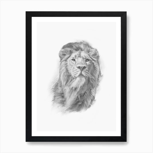 Lion Handrawn Black And White Art P Framed Wall Art Poster Canvas Print Picture
